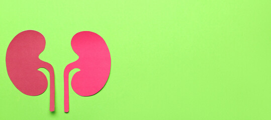 Paper kidneys on green background with space for text