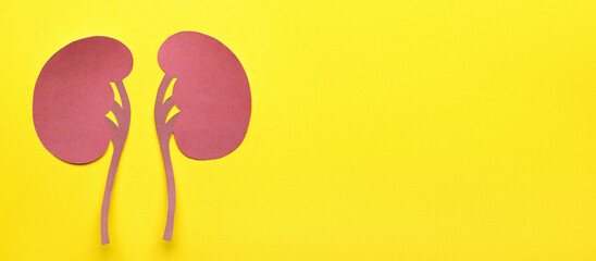 Fototapeta premium Paper kidneys on yellow background with space for text