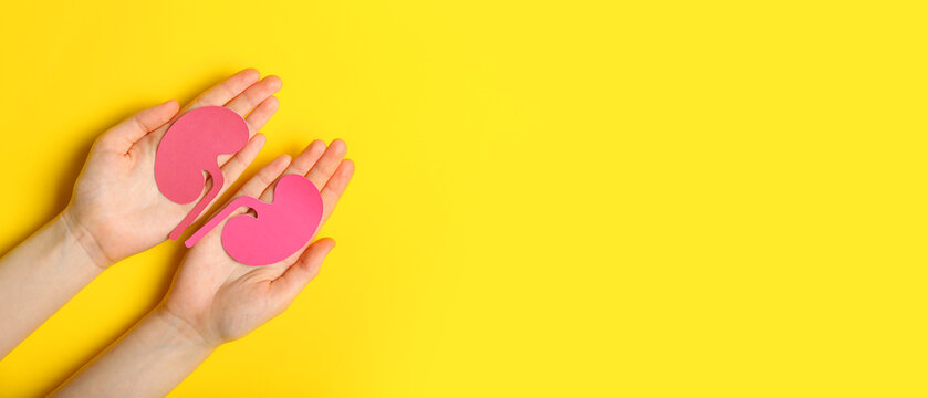 Hands and paper kidneys on yellow background with space for text