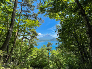 Fototapeta premium 富士山 パノラマ台