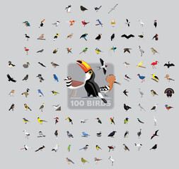 One Hundred Birds Cartoon Vector Illustration Set © bullet_chained