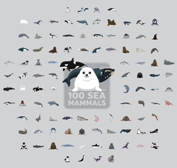 One Hundred Sea Mammals Cartoon Vector Illustration Set