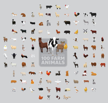 One Hundred Farm Animals Cartoon Vector Illustration Set Stock Vector |  Adobe Stock