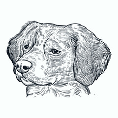 Vintage hand drawn sketch dog head