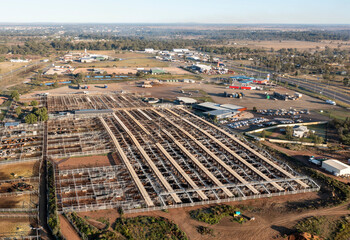 Roma cattle saleyards the largest center in Australia.