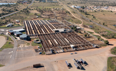 Roma cattle saleyards the largest center in Australia.