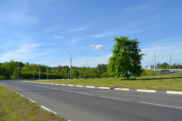 Fototapeta na wymiar Asphalt road and green meadow, grove, tree, blue sky and buildings in the background.