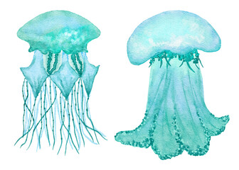 Watercolor illustration of jellyfish in blue turquoise purple colors, ocean sea underwater wildlife animals. Nautical summer beach design, coral reef life nature.