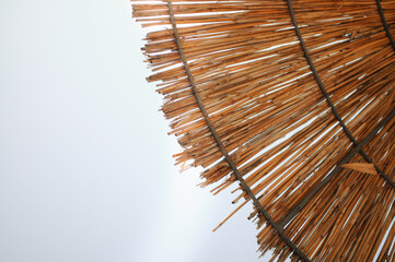 parasol on the beach