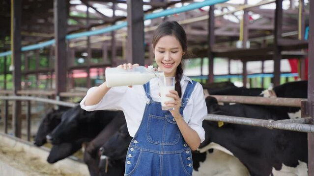 Portrait of Asian woman dairy farmer holding bottle of milk in cowshed.	