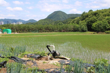 Irrigation pump in rice field, in Korean countryside