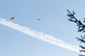 Flight 1