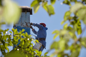 An employee of the Industrial Mountaineering Service paints the chimney on the roof with a spray gun. Professional climber in uniform, helmet and with seat belts. Risky work. Extreme activity.