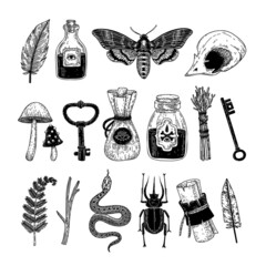 Collection of vector illustrations of mystical, magical items. Potions, keys, snakes, moths, mushrooms, snakes and other items. Witchcraft, tarot, mysticism.