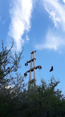 Obraz premium cross on the sky