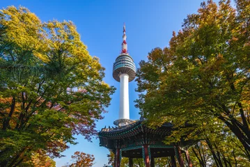 Wall murals Seoel seoul tower and colorful leaves at seoul, south korea in autumn