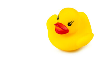 Toy rubber duckling on a white background.