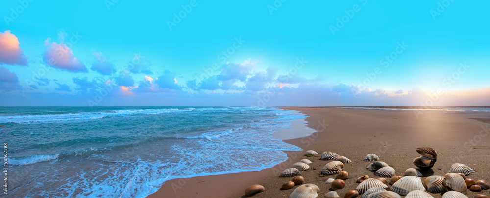 Wall mural sea shells on beach (sand) background at dramatic sunset