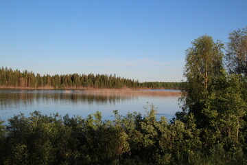 Fototapeta na wymiar reflection of trees in the water, Elk Island National Park, Alberta