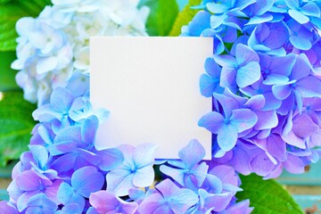 紫と青の紫陽花の花に囲まれた綺麗なタイトルフレームのモックアップ
