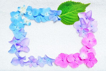 ブルー、バープル、ピンクをグラデーションで並べた紫陽花の葉っぱとガクで囲んだ爽やかなタイトル枠