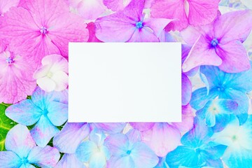 ピンクからブルーのグラデーションで水に浮かべられたアジサイの上に置かれた梅雨らしいタイトルフレーム