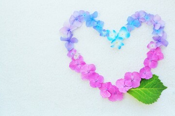 ホワイトバックにピンク、紫色、青の紫陽花の花をグラデーションで並べたハートの形