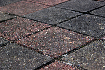 The courtyard floor is square with two colors, namely red and black and neatly arranged.