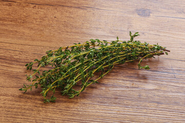 Fresh green Thyme branch heap