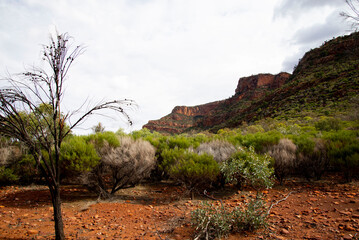 Ikara-Flinders Ranges National Park - Australia