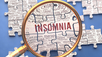 Insomnia as a complex and multipart topic under close inspection. Complexity shown as matching puzzle pieces defining dozens of vital ideas and concepts about Insomnia,3d illustration