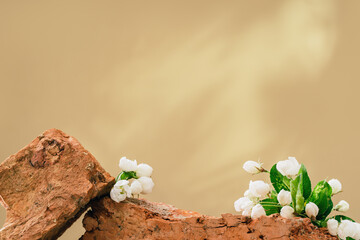 Natural medicine or aroma oil or beauty essence concept stone product podium with white flowers...