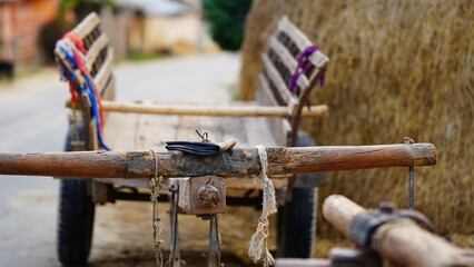 bullock cart in the village image selective focus