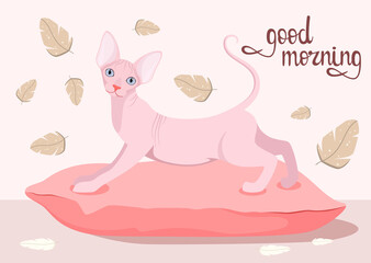 A sphinx cat on a pillow. Postcard. Good morning. Cartoon design.
