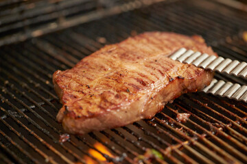 grilled meat on the grill