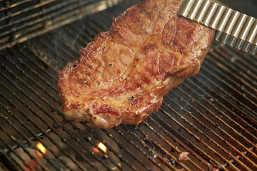 grilled meat on the grill	