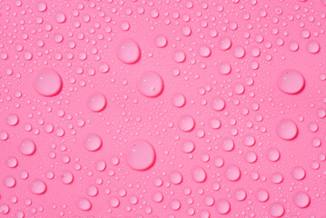 Cosmetic black jar wooden lid with cream or lottion and dry plant. Skincare cosmetic with wildflowers. White background with daylight and beautiful shadows. Beauty concept for face and body care