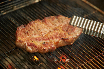 grilled meat on the grill	