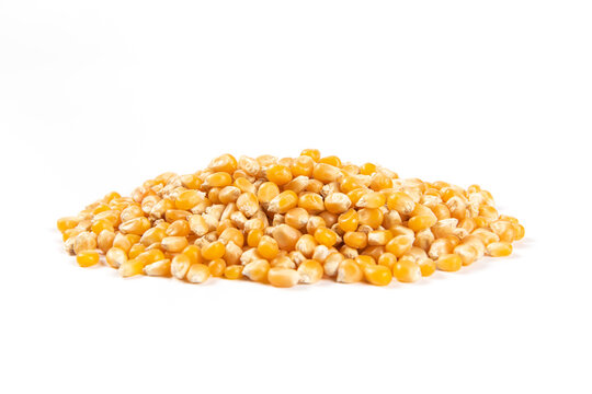 pile of dry corn isolated on white background.Unpopped popcorn