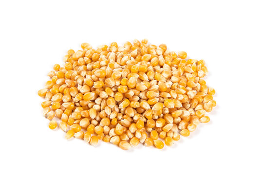dry corn isolated on white background.Unpopped popcorn
