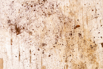 Background old wooden surface covered with paint