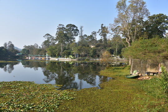 Yercaud lake view, Tamilnadu, India