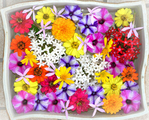 水に浮く花々（伊勢志摩）