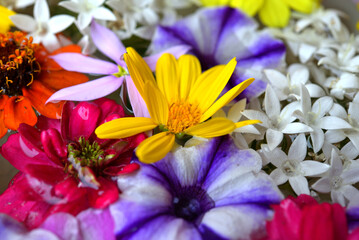 花手水（花集め）