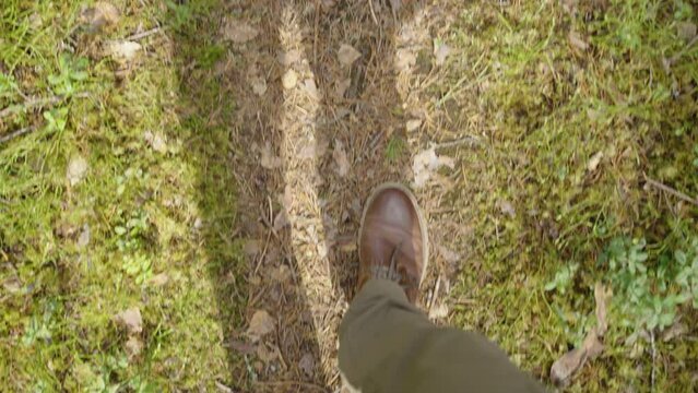 A top view of male legs in brown boots walks along a forest path covered with fallen coniferous needles.