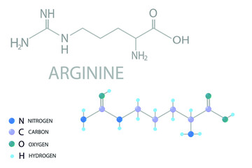 Arginine molecular skeletal 3D chemical formula.	