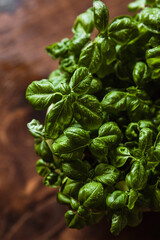 Fresh produce photography. Basil in a pot on the wooden table.