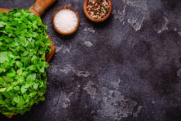 Cooking background with basil and different spices