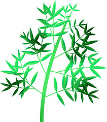 Obraz premium 笹 竹 植物 七夕 イラスト