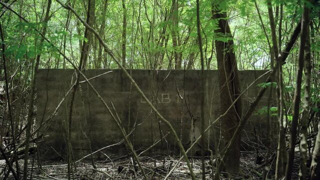 Abandoned old laboratory building in the middle of tropical green jungle. Mysterious concrete structure in a thick forest vegetation. Forgotten or neglected. Eerie and scary on a small island